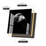 Great Ape Acrylic Wall Art - Image 12